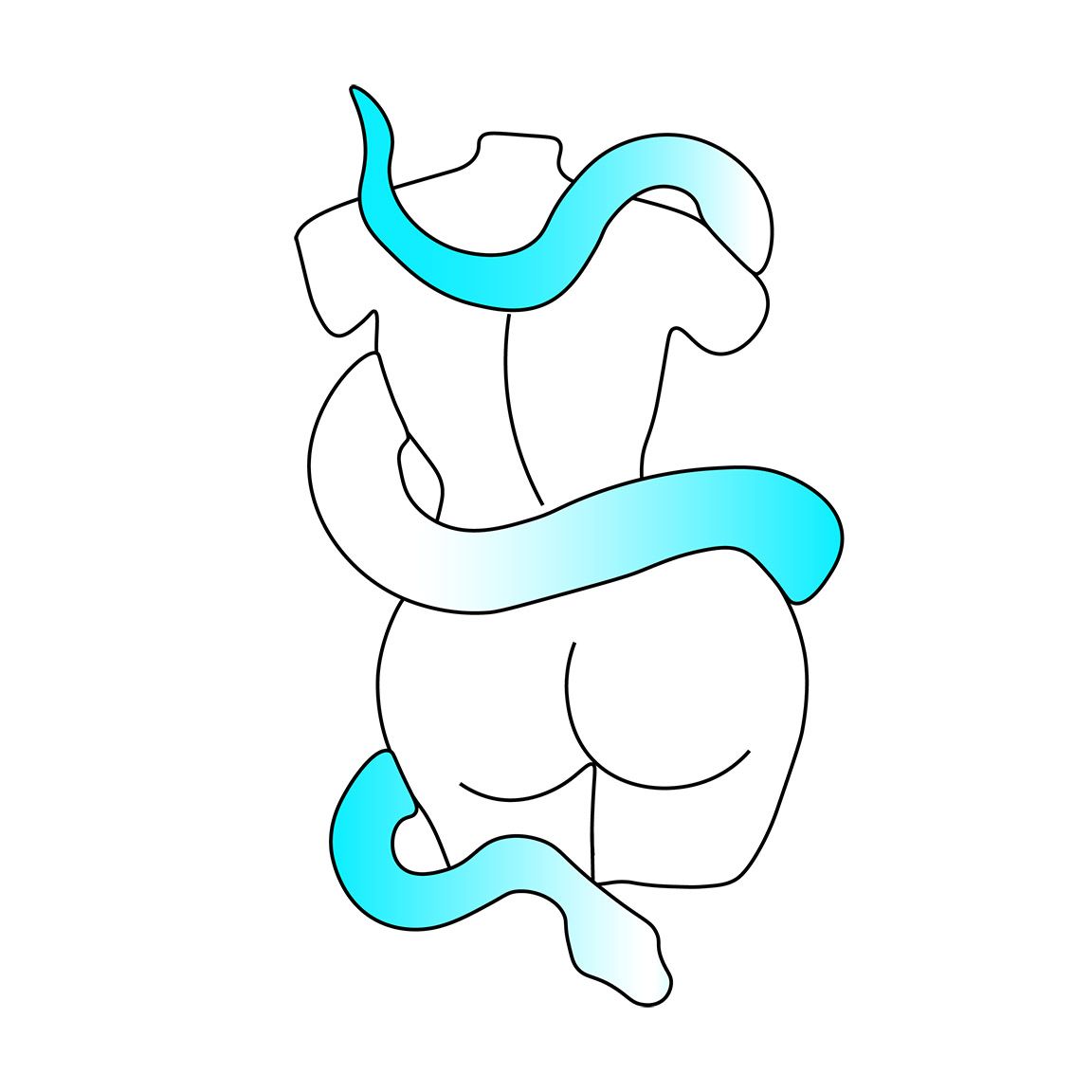 Diseño camiseta Venus con serpiente