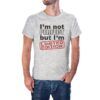 Camiseta gris jarpeado I`m Not Perfect