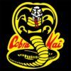 Camiseta Cobra Kai diseño