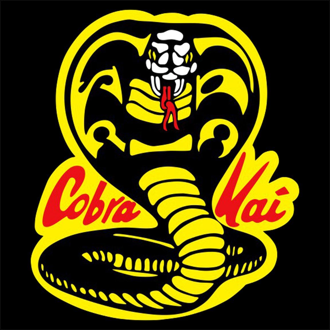 Camiseta Cobra Kai diseño