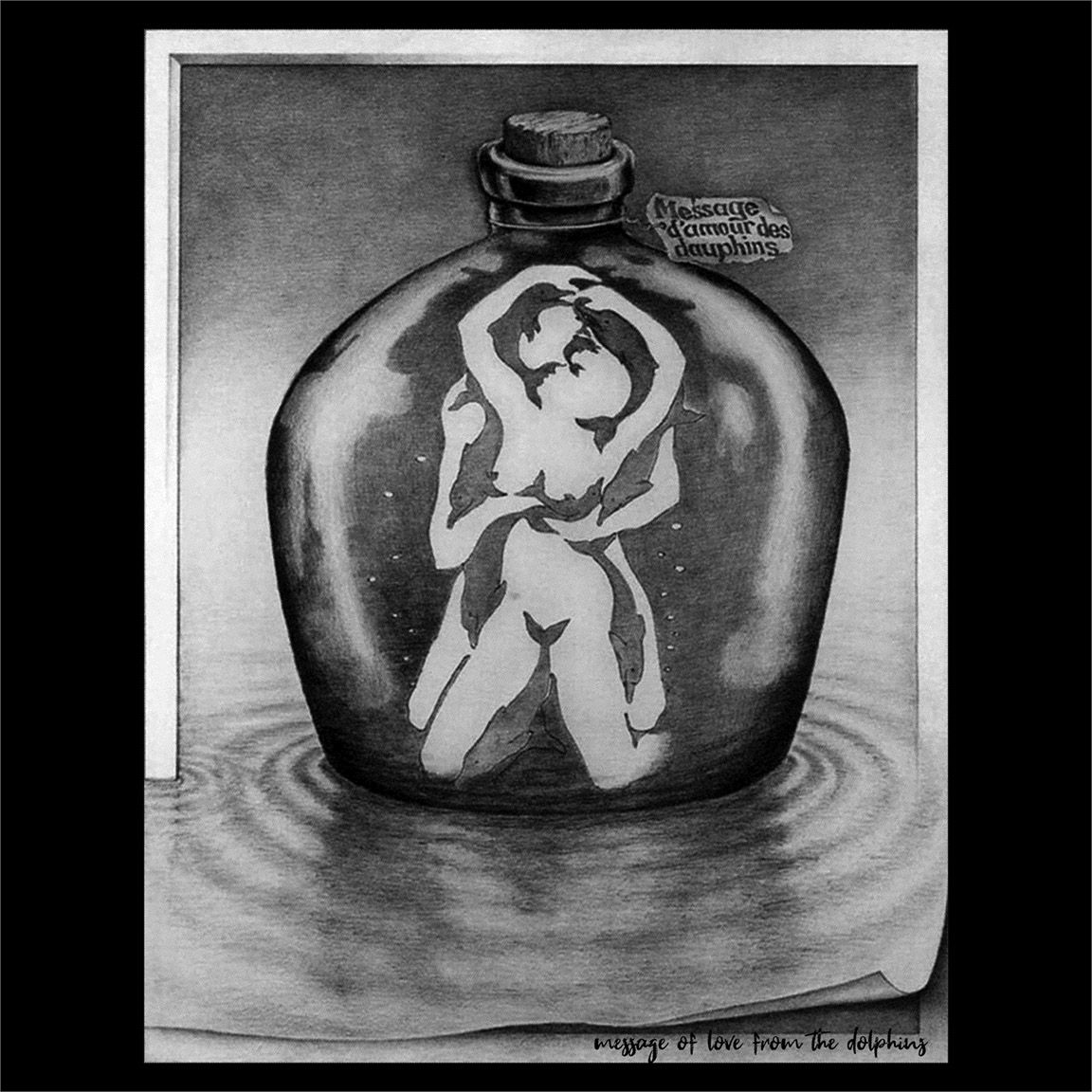 Camiseta Amantes o Delfines diseño