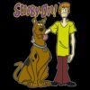 Diseño Scooby Doo and Shaggy