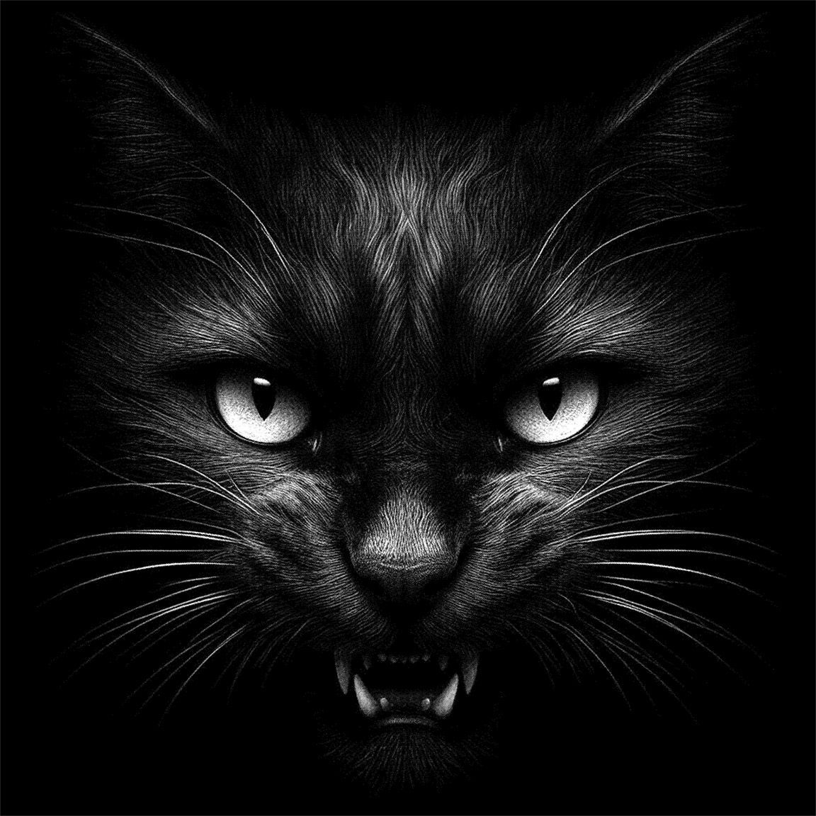 Diseño Gato noche