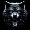 Diseño Lobo Noche Diseño Lobo Noche