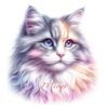 Diseño Gatito Miau