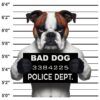 Diseño Bad Dog Diseño Bad Dog