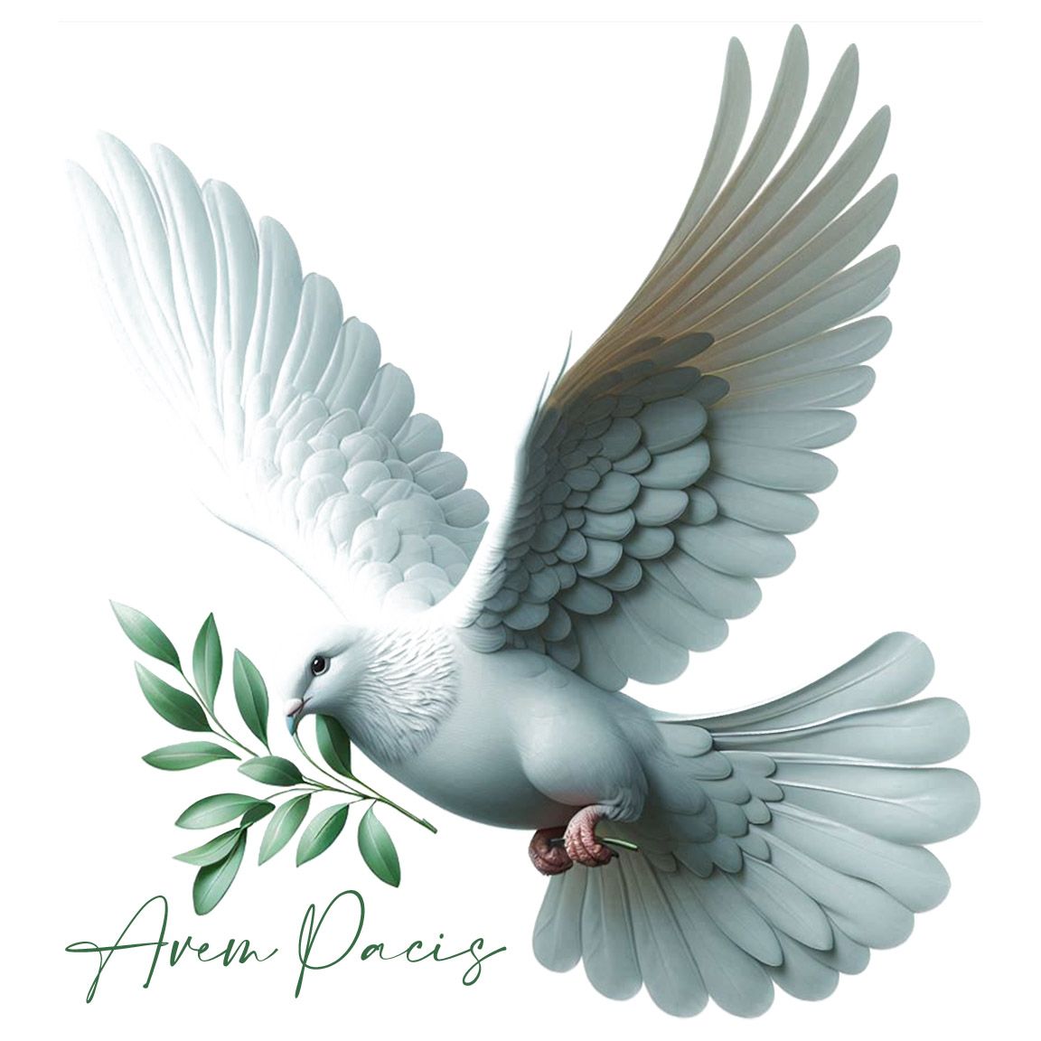 Diseño Paloma Avem Pacis