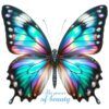 Diseño Butterfly - The Power of Beauty Diseño Butterfly - The Power of Beauty