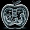 Diseño Radiografía de una Manzana Habitada Diseño Radiografía de una Manzana Habitada