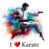 Diseño I Love Karate