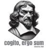 Diseño Cogito Ergo Sum
