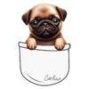 Diseño Cachorrito Carlino en Bolsillo