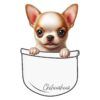 Diseño Cachorrito Chiuahua en Bolsillo