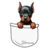 Diseño Cachorrito Dóberman en Bolsillo Diseño Cachorrito Dóberman en Bolsillo