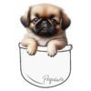 Diseño Cachorrito Pequinés en Bolsillo